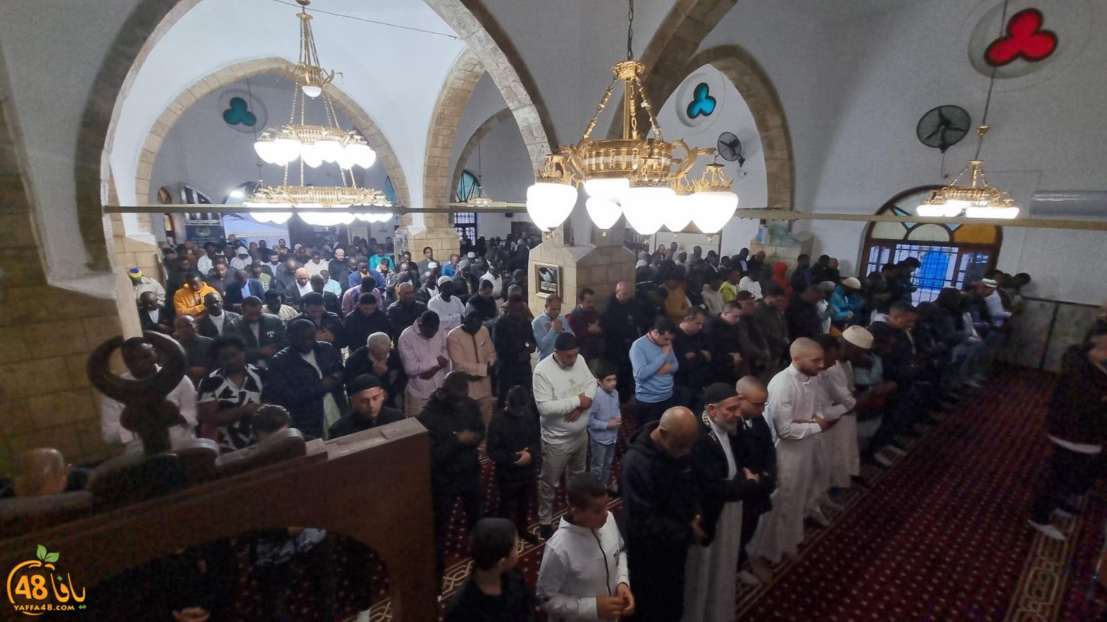 WhatsApp Image 2024-04-10 at 6.58.45 AM (2).jpeg